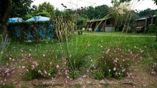 modulo Cezanne aiuola impressionista