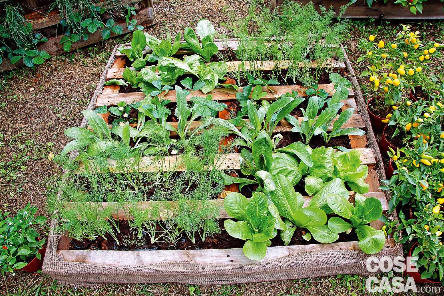 Idee da copiare per valorizzare il giardino cose di casa Piccoli giardini da copiare