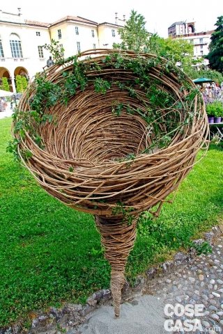 LA SPIRALE DI VITALBA LA SPIRALE DI VITALBA