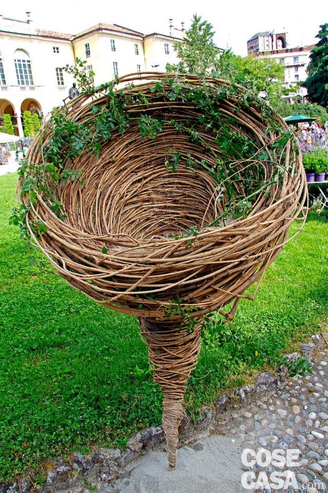 LA SPIRALE DI VITALBA LA SPIRALE DI VITALBA