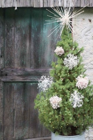 aglio ornamentale per decorare l'albero di Natale aglio ornamentale per decorare l'albero di Natale