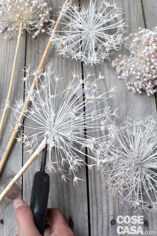 Colorate con la vernice spray le teste dell’allium Colorate con la vernice spray le teste dell’allium