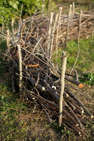 siepe di rami secchi