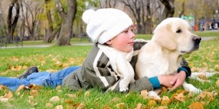 Cane e bambino: i giochi da fare insieme