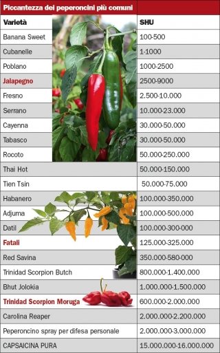 piccantezza-peperoncini piccantezza-peperoncini
