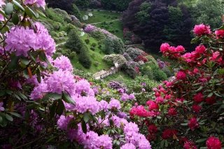 Oasi Zegna. Ph Paola Rosetta. Grandi giardini italiani Oasi Zegna. Ph Paola Rosetta. Grandi giardini italiani