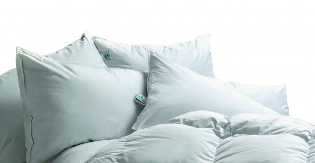 giornata mondiale del sonno giornata mondiale del sonno