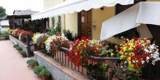 Montespertoli un fiore di città Montespertoli un fiore di città