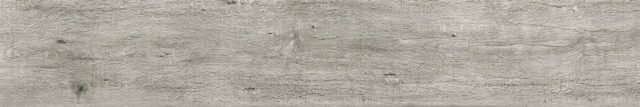 assenzio_minimale-2_VERIFICARE assenzio_minimale-2_VERIFICARE