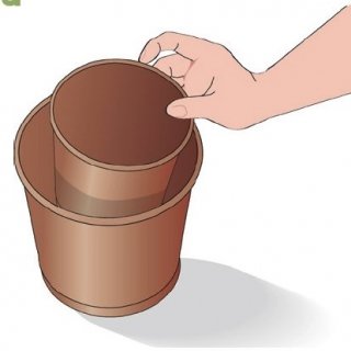 scegliere vaso per piante grasse scegliere vaso per piante grasse