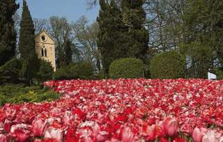 appuntamenti di marzo appuntamenti di marzo