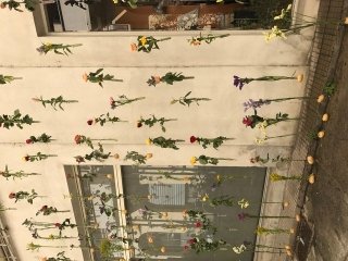 fiori sui fili fiori sui fili