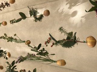 fiori nella patata fiori nella patata