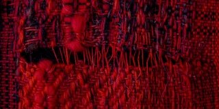 Memoria tessile: sul filo dei diritti Memoria tessile: sul filo dei diritti