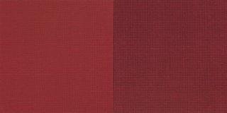 Il colore unico Il colore unico