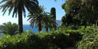 Una domenica in giardino. Le palme, il fascino della Riviera Una domenica in giardino. Le palme, il fascino della Riviera
