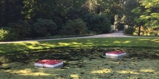 Roberto Fanari. Il paesaggio dentro Roberto Fanari. Il paesaggio dentro
