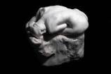 Il ritrovamento di un eccezionale Rodin in marmo Il ritrovamento di un eccezionale Rodin in marmo