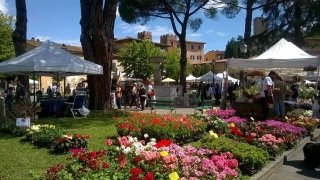 vicopisano vicopisano