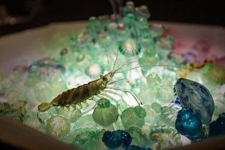 Trasparenze... nel profondo blu, opera di Vittorio Costantini