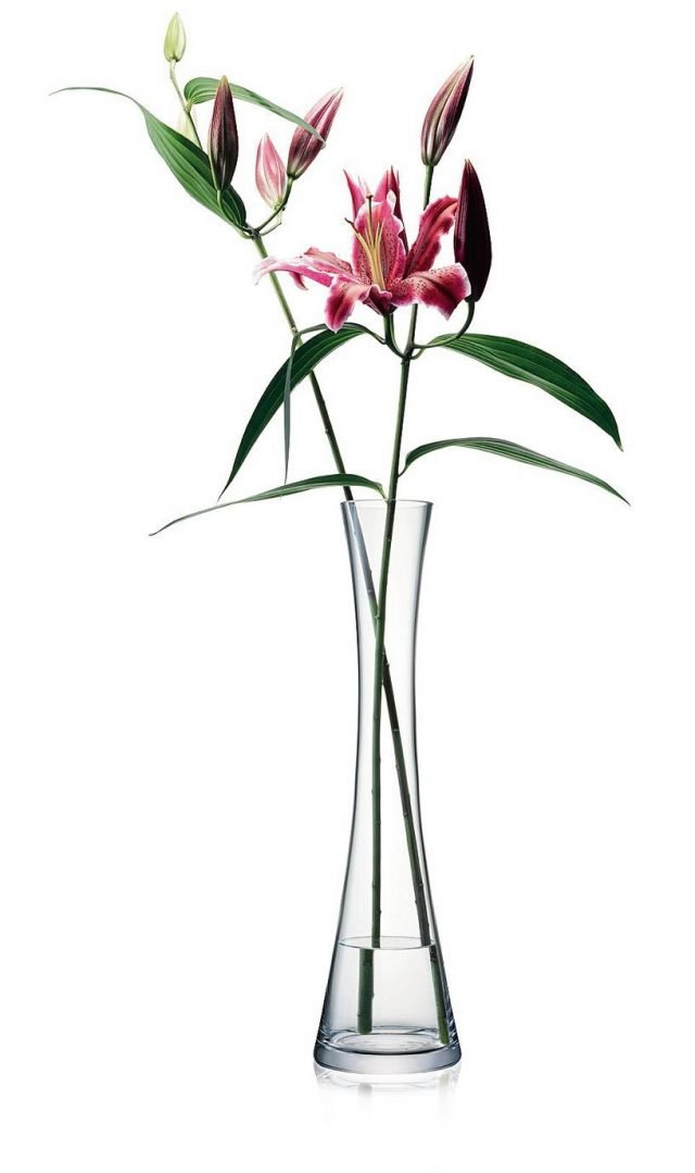 In vetro soffiato,
è pensato per uno
o al massimo due fiori, meglio in versione macro.
In vetro trasparente, il vaso della coll. Flower di Lsa International (www.lsa-international.com) è alto 50 cm e costa 65 euro. In vetro soffiato,
è pensato per uno
o al massimo due fiori, meglio in versione macro.
In vetro trasparente, il vaso della coll. Flower di Lsa International (www.lsa-international.com) è alto 50 cm e costa 65 euro.