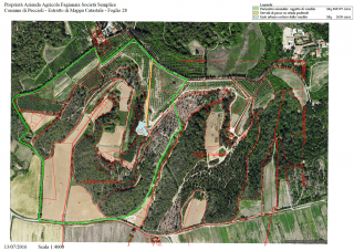 Schermata 2017-08-30 alle 17.28.38