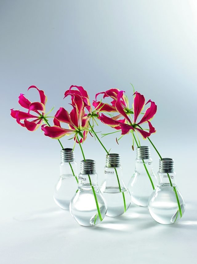 Accendi un fiore Della lampadina ha il nome, Edison, per rendere omaggio al suo creatore, ma anche la linea,
con il bulbo in metallo. La base però è appiattita, in modo da poter essere appoggiata facilmente. Edison di Serax (www.serax.com ), per adattarsi
a più tipologie di fiori, è disponibile in tre misure (H 11, H 13, H 16 cm). È in vetro e questo crea piacevoli trasparenze e giochi di luce. Costa
a partire da 8,75 euro. Accendi un fiore Della lampadina ha il nome, Edison, per rendere omaggio al suo creatore, ma anche la linea,
con il bulbo in metallo. La base però è appiattita, in modo da poter essere appoggiata facilmente. Edison di Serax (www.serax.com ), per adattarsi
a più tipologie di fiori, è disponibile in tre misure (H 11, H 13, H 16 cm). È in vetro e questo crea piacevoli trasparenze e giochi di luce. Costa
a partire da 8,75 euro.