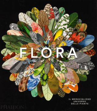 flora flora