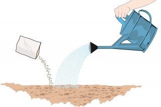 seconda-raccolta-2 seconda-raccolta-2