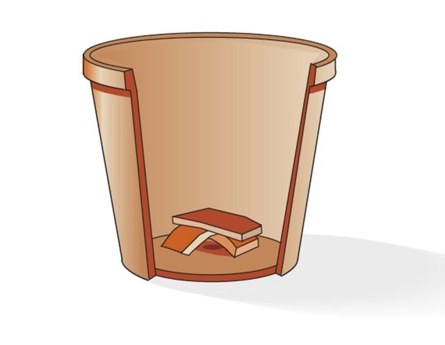 cocci nel fondo del vaso della sassifraga cocci nel fondo del vaso della sassifraga