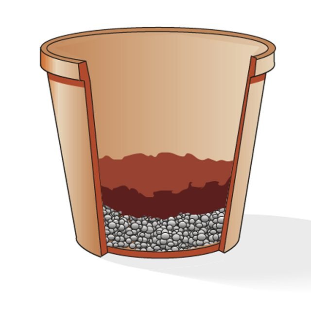 strato di ghiaietto o argilla espansa nel vaso della sassifraga strato di ghiaietto o argilla espansa nel vaso della sassifraga