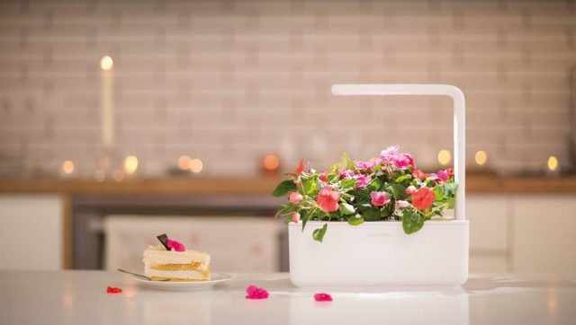 Il Click & Grow Smart Garden 9 è un innovativo mini-giardino da interno che permette di coltivare in casa frutta fresca, verdure, erbe aromatiche, insalate e fiori senza alcuna difficoltà. Include luci a LED a pieno spettro, misura automaticamente il livello ottimale di acqua e luce necessaria per le piante e assicura che le piante abbiano abbastanza sostanze nutritive e ossigeno attraverso il sistema brevettato Smart Soil, che mantiene i livelli di ossigeno, acqua, pH e gli ingredienti nutrizionali di ogni pianta ad un livello ottimale. Smart Garden 9 consente di coltivare piante che contengono fino a 60% di vitamine e crescono 30% più veloce delle piante coltivate con i metodi agricoli attuali. Il prezzo base è di 129 dollari ed è possibile sottoscrivere degli abbonamenti a partire da 59,95 dollari per le ricariche e le capsule vegetali sono vendute separatamente a 19,95 dollari per la confezione da 3. www.clickandgrow.com Il Click & Grow Smart Garden 9 è un innovativo mini-giardino da interno che permette di coltivare in casa frutta fresca, verdure, erbe aromatiche, insalate e fiori senza alcuna difficoltà. Include luci a LED a pieno spettro, misura automaticamente il livello ottimale di acqua e luce necessaria per le piante e assicura che le piante abbiano abbastanza sostanze nutritive e ossigeno attraverso il sistema brevettato Smart Soil, che mantiene i livelli di ossigeno, acqua, pH e gli ingredienti nutrizionali di ogni pianta ad un livello ottimale. Smart Garden 9 consente di coltivare piante che contengono fino a 60% di vitamine e crescono 30% più veloce delle piante coltivate con i metodi agricoli attuali. Il prezzo base è di 129 dollari ed è possibile sottoscrivere degli abbonamenti a partire da 59,95 dollari per le ricariche e le capsule vegetali sono vendute separatamente a 19,95 dollari per la confezione da 3. www.clickandgrow.com