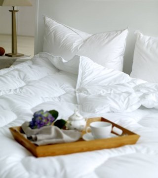 Daunenstep Cozy Room Daunenstep Cozy Room