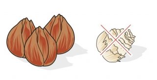 bulbi tulipani marroni e sodi bulbi tulipani marroni e sodi