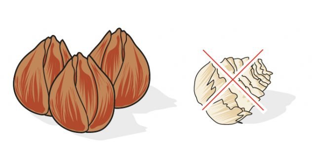 bulbi tulipani marroni e sodi bulbi tulipani marroni e sodi