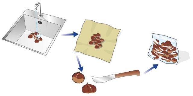 La surgelazione
Dopo averle lavate e controllate con cura per scartare eventuali gusci danneggiati, devono essere asciugate, incise sul dorso e chiuse dentro un sacchetto da freezer. Una volta congelate si potranno conservare a lungo. Quando estratte dal freezer si potranno cucinare come appena raccolte, in padella o bollite. Per inciderne il guscio si può utilizzare un coltello a punta o uno apposito, un attrezzo speciale, simile a uno schiaccianoci, che al posto delle zigrinature per la frutta secca, abbia un cucchiaino in basso dove posare la castagna, e una lama in alto: azionando i manici la lama imprimerà automaticamente un taglio sul dorso della castagna. La surgelazione
Dopo averle lavate e controllate con cura per scartare eventuali gusci danneggiati, devono essere asciugate, incise sul dorso e chiuse dentro un sacchetto da freezer. Una volta congelate si potranno conservare a lungo. Quando estratte dal freezer si potranno cucinare come appena raccolte, in padella o bollite. Per inciderne il guscio si può utilizzare un coltello a punta o uno apposito, un attrezzo speciale, simile a uno schiaccianoci, che al posto delle zigrinature per la frutta secca, abbia un cucchiaino in basso dove posare la castagna, e una lama in alto: azionando i manici la lama imprimerà automaticamente un taglio sul dorso della castagna.