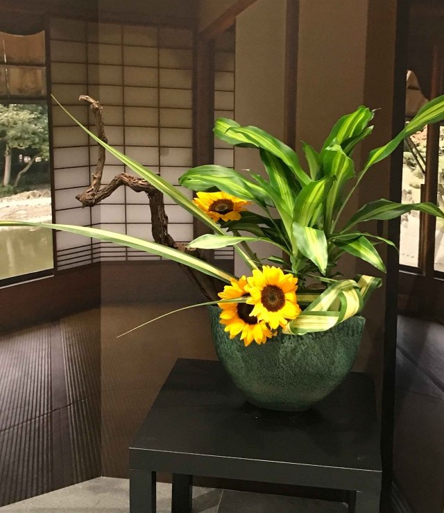 ikebana - ramo di vite spoglio da un lato e un tronchetto di dracena dall’altro ikebana - ramo di vite spoglio da un lato e un tronchetto di dracena dall’altro