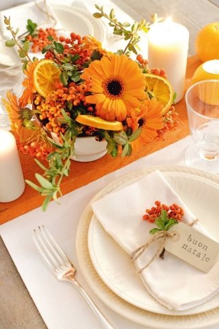 Foto S. Chiarugi bis