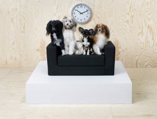 Ikea per animali, divanetto Klippan Pet Bed espandibile e sfoderabile. Ikea per animali, divanetto Klippan Pet Bed espandibile e sfoderabile.