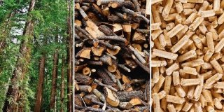 La legna da ardere: guida all’acquisto