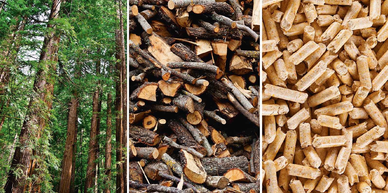 La legna da ardere: guida all'acquisto - Cose di Casa