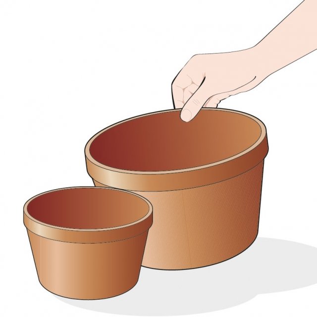 3. Al momento del trapianto dell’osmanto, scegliete un vaso con un diametro più grande di almeno 4 centimetri rispetto al precedente. 3. Al momento del trapianto dell’osmanto, scegliete un vaso con un diametro più grande di almeno 4 centimetri rispetto al precedente.