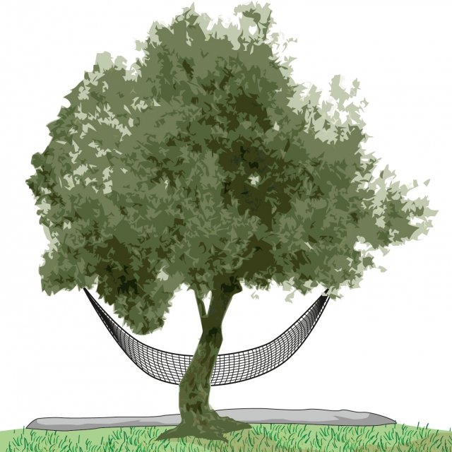 raccolta olive con rete sotto albero raccolta olive con rete sotto albero