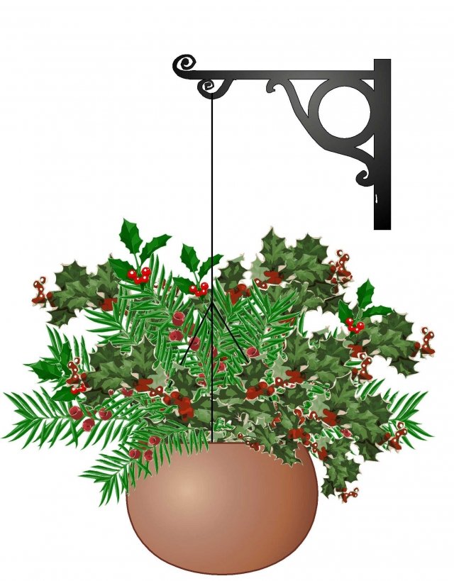 3. Altre piante dall’aspetto festoso anche senza addobbi, sono le produttrici di bacche, come le sempreverdi agrifoglio, nandina e tasso. Queste sono perfette in un cesto appeso, ben agganciato, su un balcone coperto. Foderate il contenitore con un foglio di plastica in modo che non si rovini e poi inserite le piante lasciandole nei piccoli vasetti di acquisto. Nel periodo delle festività andranno annaffiate almeno un paio di volte ma in quantità ridotte. 3. Altre piante dall’aspetto festoso anche senza addobbi, sono le produttrici di bacche, come le sempreverdi agrifoglio, nandina e tasso. Queste sono perfette in un cesto appeso, ben agganciato, su un balcone coperto. Foderate il contenitore con un foglio di plastica in modo che non si rovini e poi inserite le piante lasciandole nei piccoli vasetti di acquisto. Nel periodo delle festività andranno annaffiate almeno un paio di volte ma in quantità ridotte.