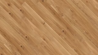 Scelta VIVO DETTAGLIO Scelta VIVO DETTAGLIO