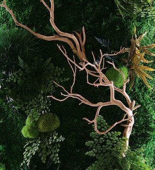 Un quadro ArsNova con lichene,
muschi, rami e foglie stabilizzati