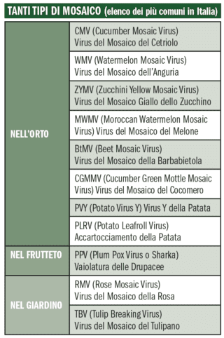 Schermata 2018-03-02 alle 12.03.03
