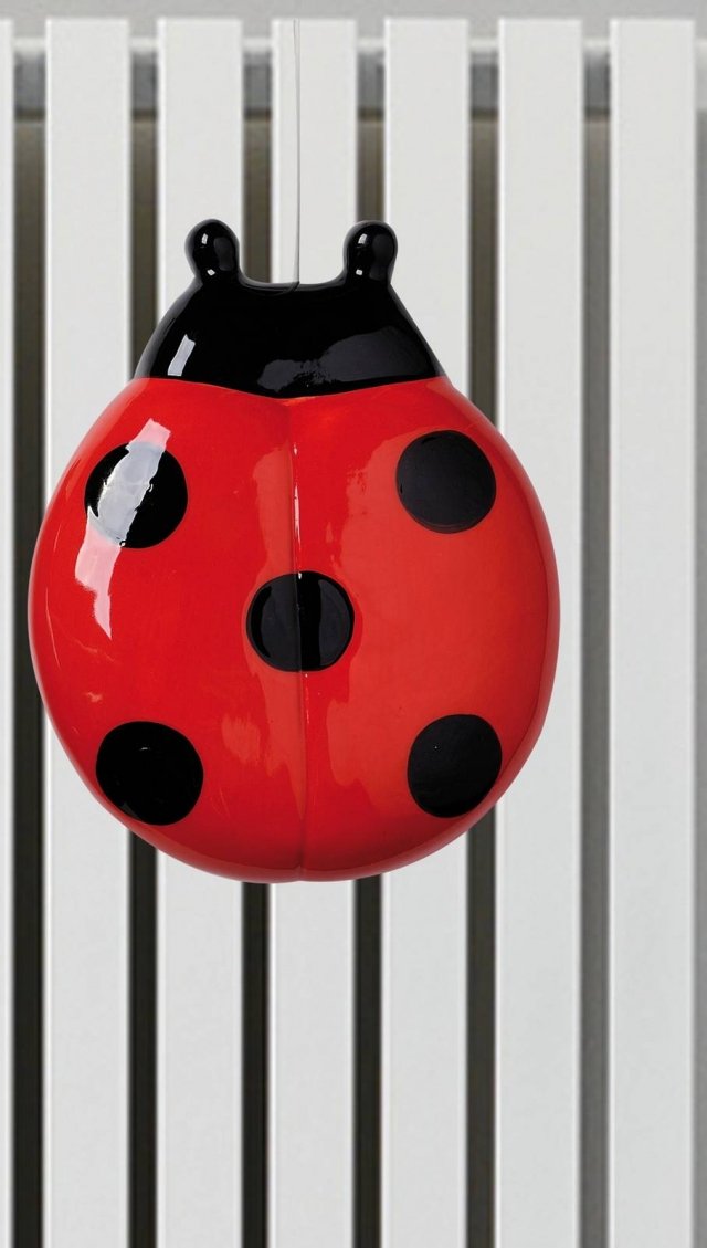 n. 6 Maiuguali, Coccinella n. 6 Maiuguali, Coccinella