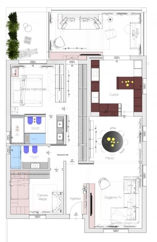 pianta-picc pianta-picc