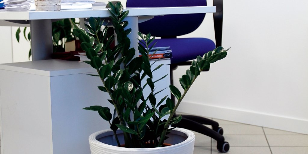 Griglia Foto Da Parete ODOXIA - Bacheca Metallica Con Tasca Rete, Portafoto E Mollette, 40x30cm - Foto 12